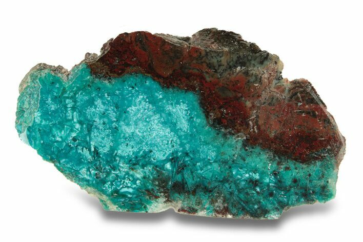 Colorful Chrysocolla and Shattuckite Section - Mexico #280145